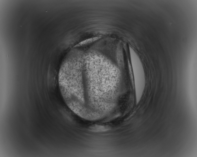 X0000083570464200703021751