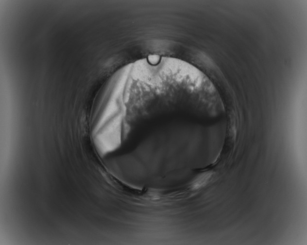 X0000083570465200703021751