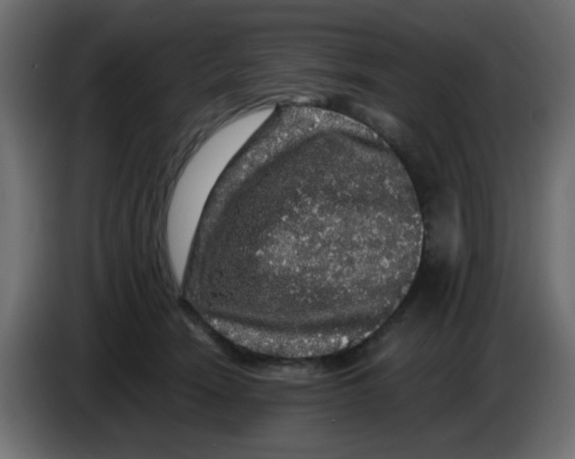 X0000083570466200703021751