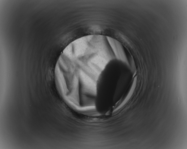 X0000083570467200703021751