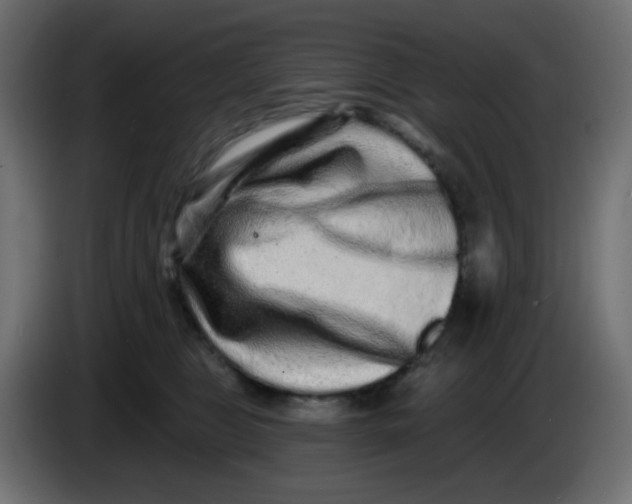 X0000083570469200703021752