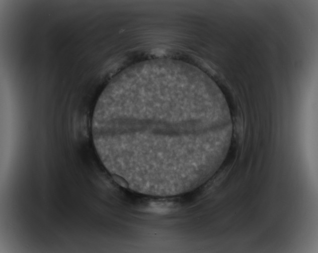 X0000083570470200703021752