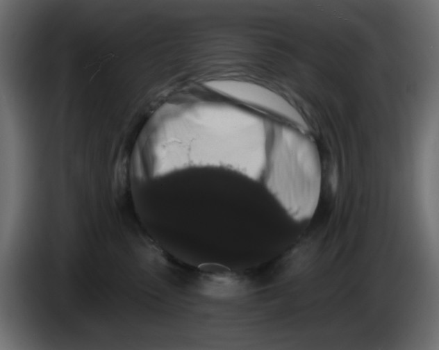 X0000083570475200703021752
