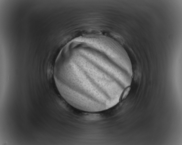 X0000083570476200703021752