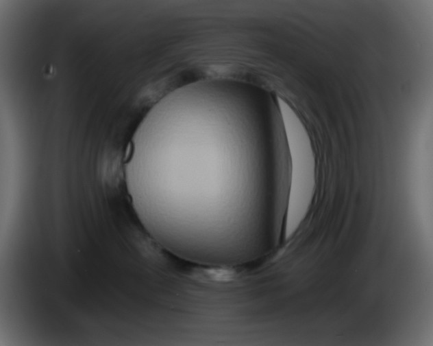 X0000083570478200703021752