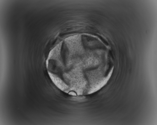 X0000083570480200703021752