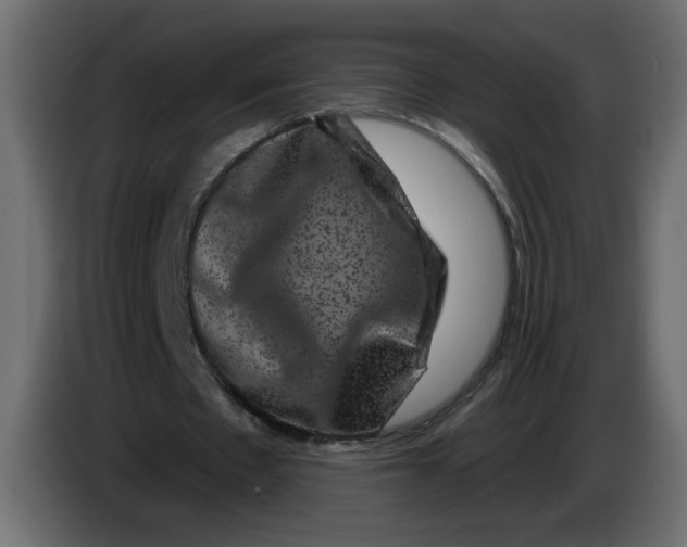 X0000083570481200703021751