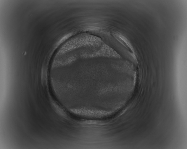 X0000083570482200703021751