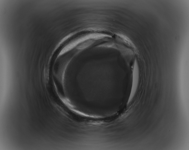 X0000083570484200703021751
