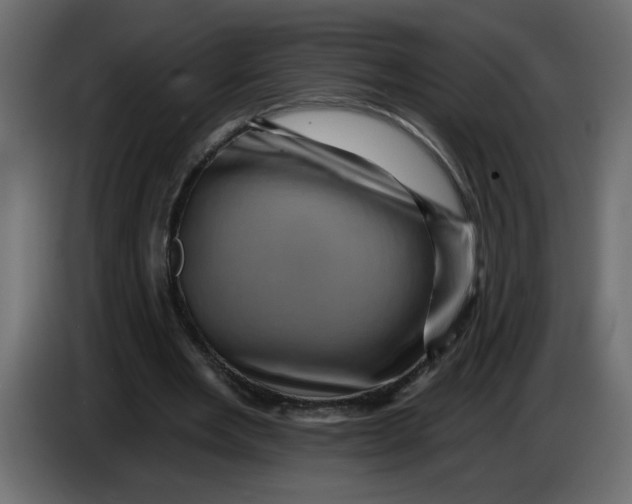 X0000083570485200703021751