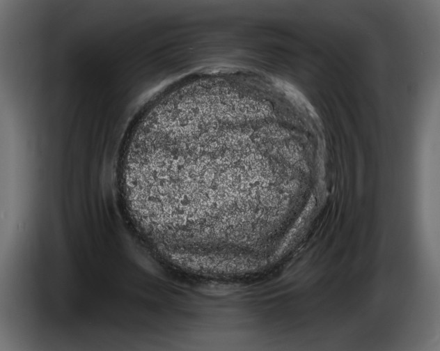 X0000083570487200703021751