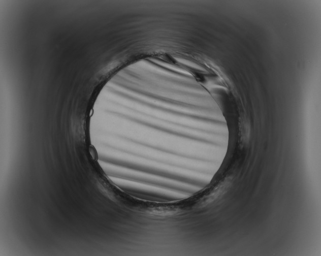 X0000083570489200703021751