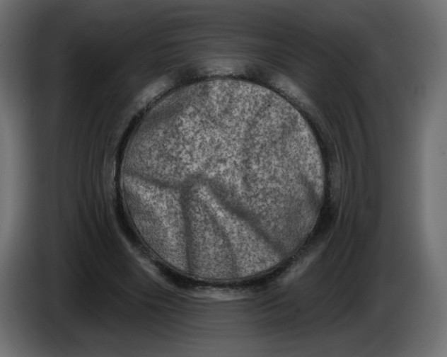 X0000083570490200703021751