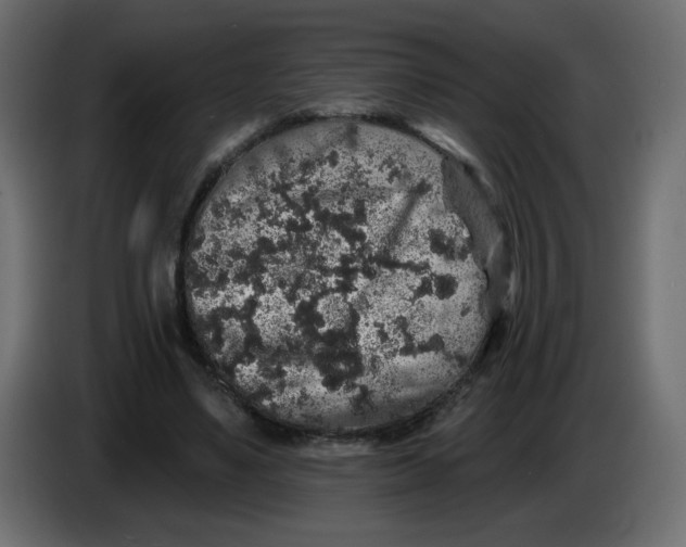 X0000083570491200703021751