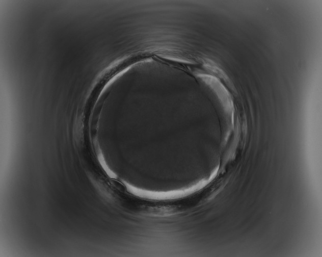 X0000083570492200703021751