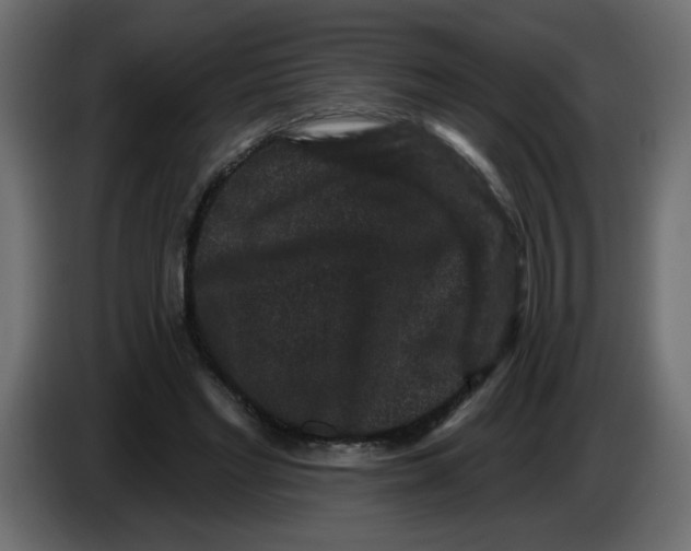 X0000083570493200703021751