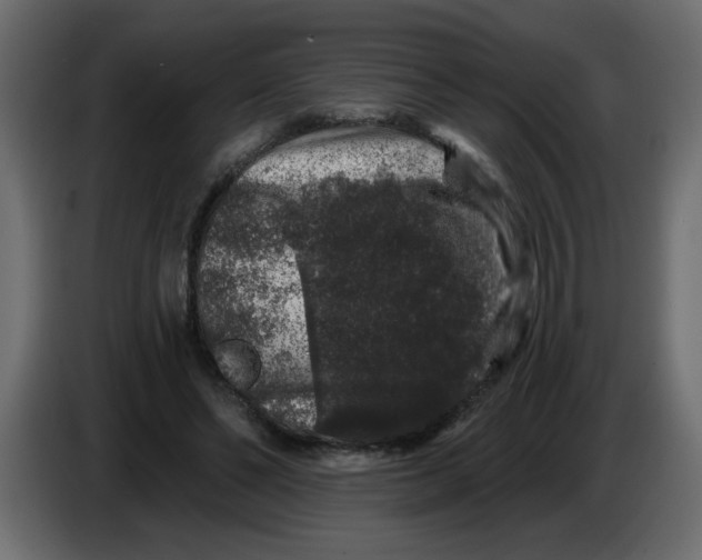 X0000083570494200703021751