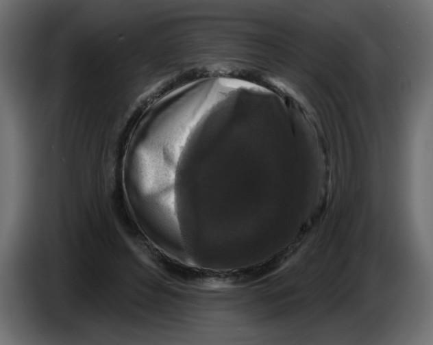 X0000083570496200703021751