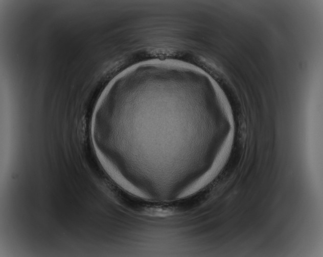X0000083570498200703021751