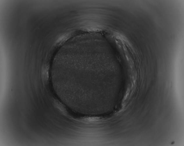 X0000083570501200703021751