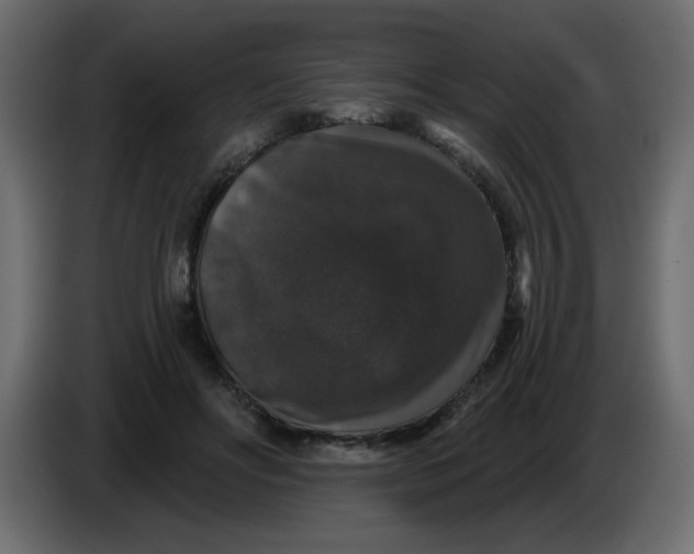X0000083570502200703021750