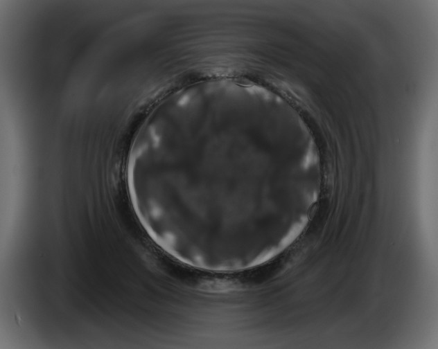 X0000083570503200703021750
