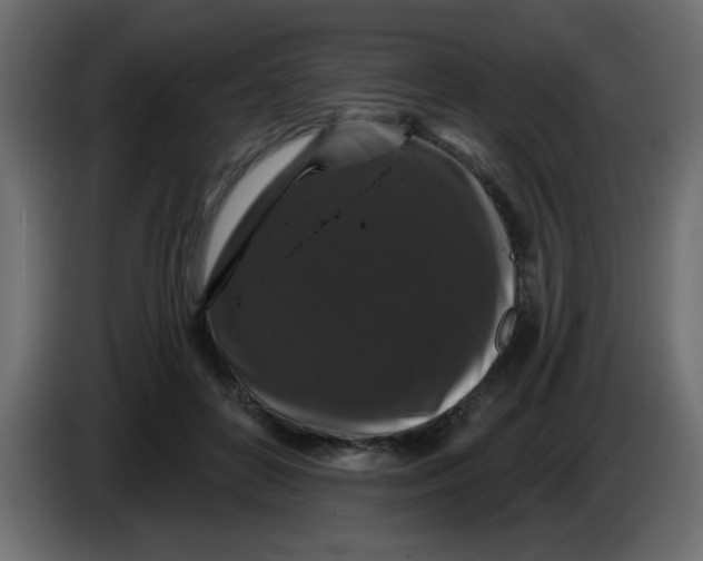 X0000083570504200703021750