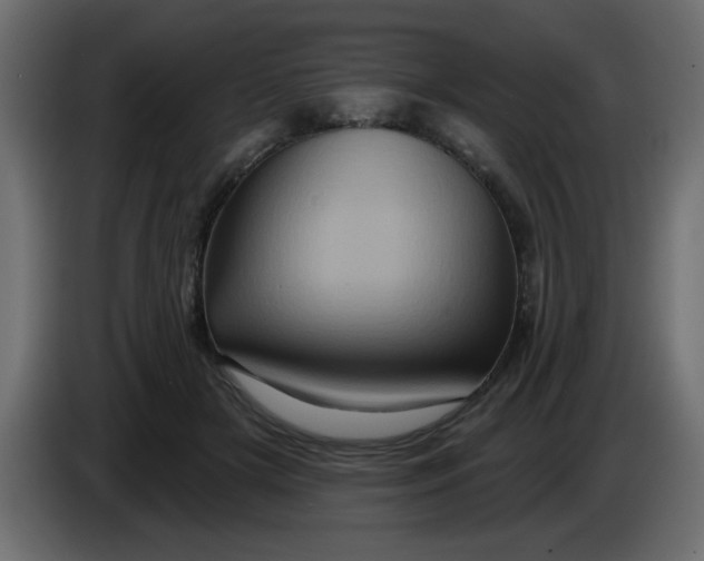 X0000083570505200703021750