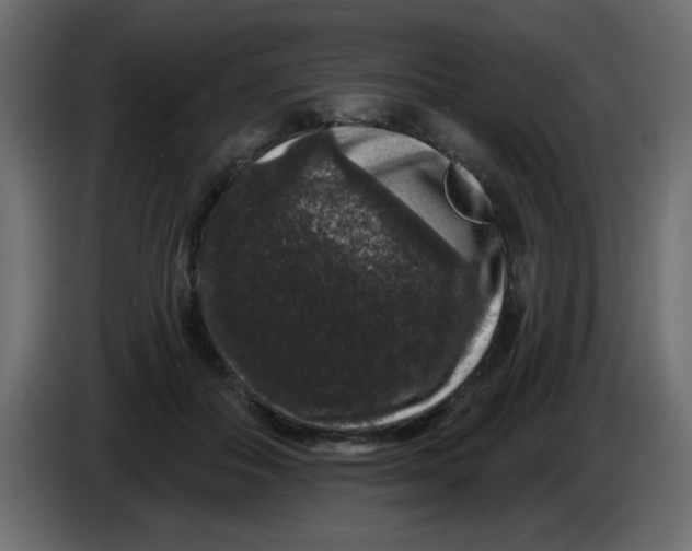 X0000083570506200703021750