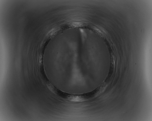 X0000083570507200703021750