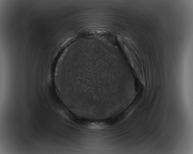 X0000083570508200703021750