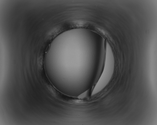 X0000083570509200703021750