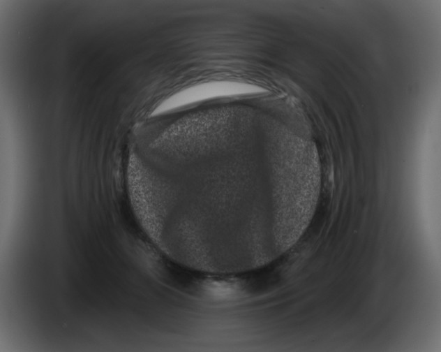 X0000083570510200703021750