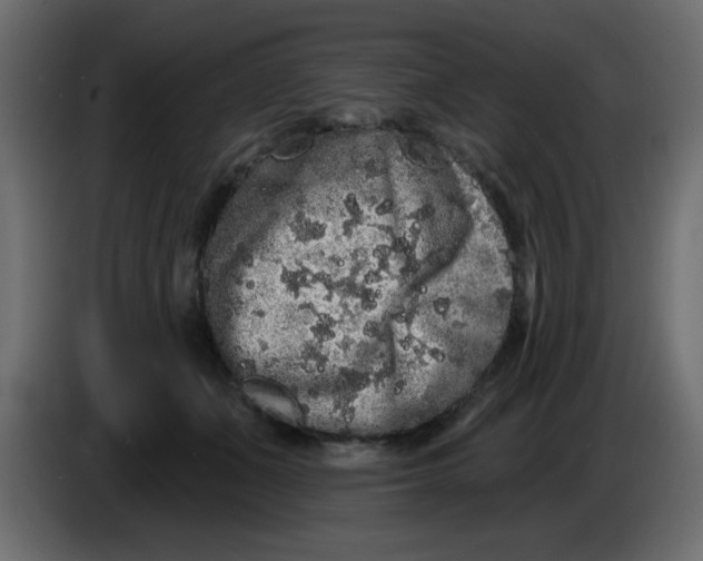 X0000083570511200703021750
