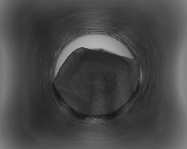 X0000083570512200703021750