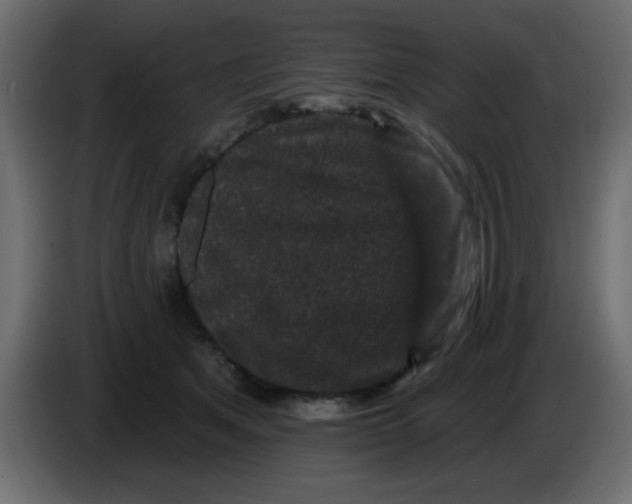 X0000083570513200703021750