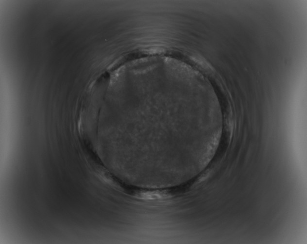 X0000083570516200703021750