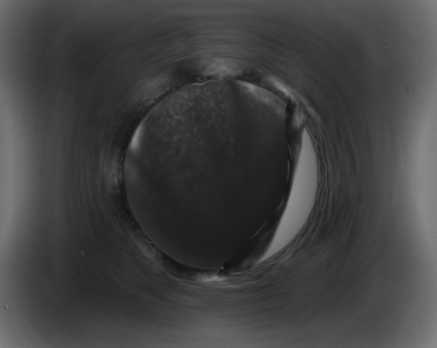 X0000083570517200703021750