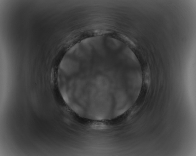 X0000083570519200703021750