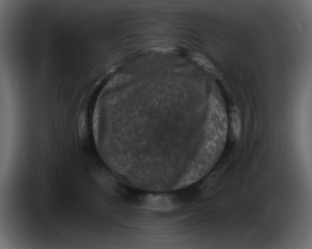 X0000083570520200703021750