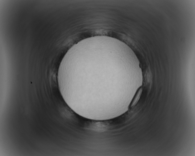 X0000083570522200703021750