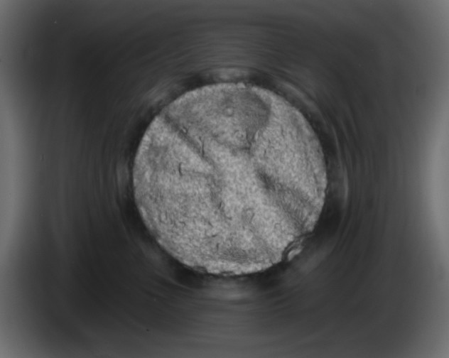 X0000083570523200703021750