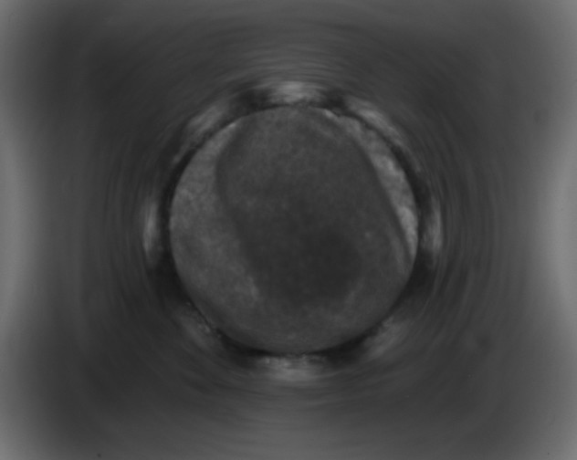 X0000083570524200703021750