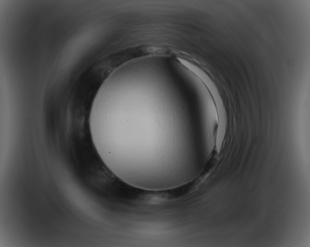 X0000083570525200703021750