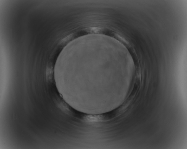 X0000083570526200703021750