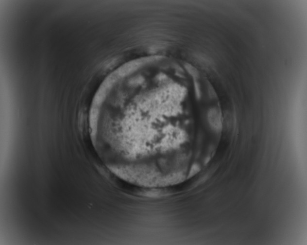 X0000083570527200703021750