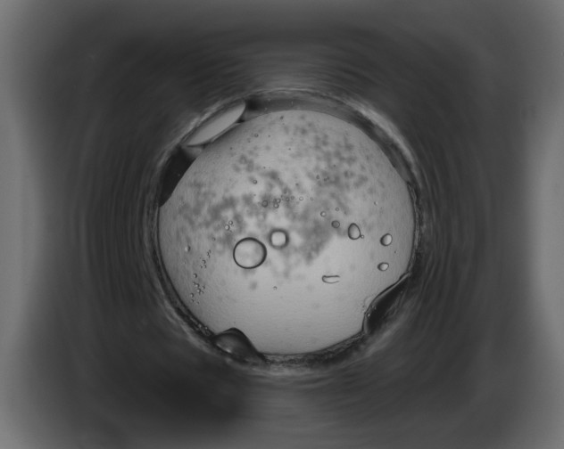 X0000083570529200703021749