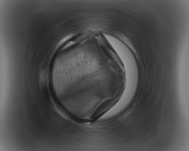 X0000083570530200703021749