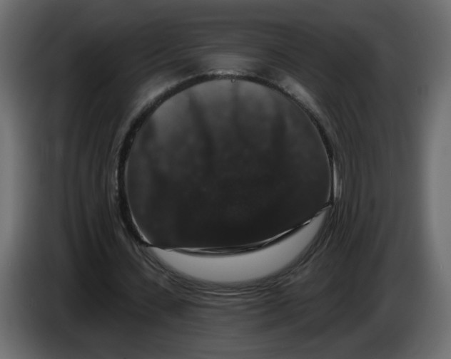 X0000083570531200703021749