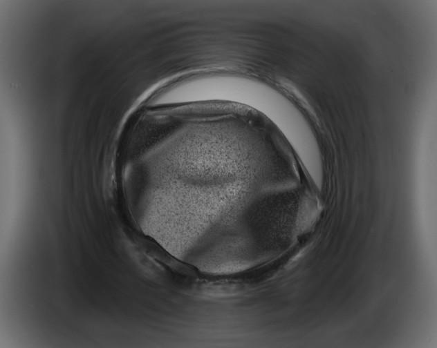 X0000083570532200703021749